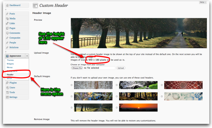 Screenshot showing WordPress Twenty Ten theme header iamge
