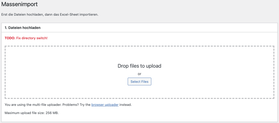 4azm9 Make inline uploader (plupload) on options page upload to a specific folder