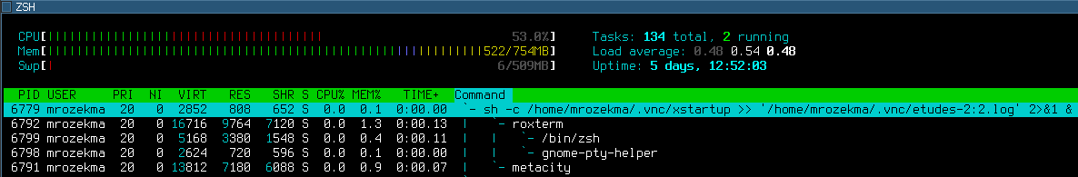 Screenshot of htop
