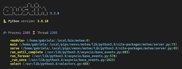 b6vfq Showing the stack trace from a running Python application