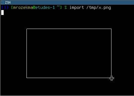 Screenshot of drawing a capture area