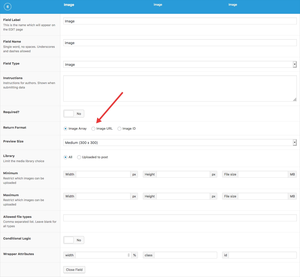hxpyb URL through custom field returning null