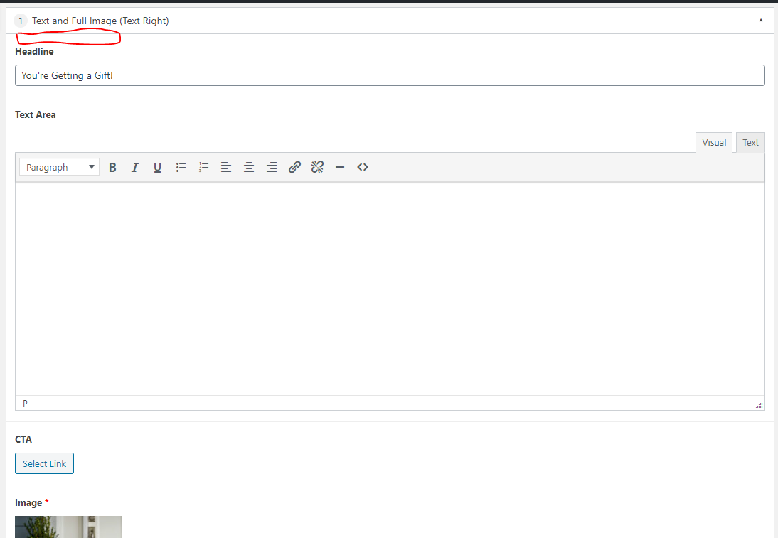 icfl9 How to add a custom field for image in "Text and Full Image(text right)" layout?