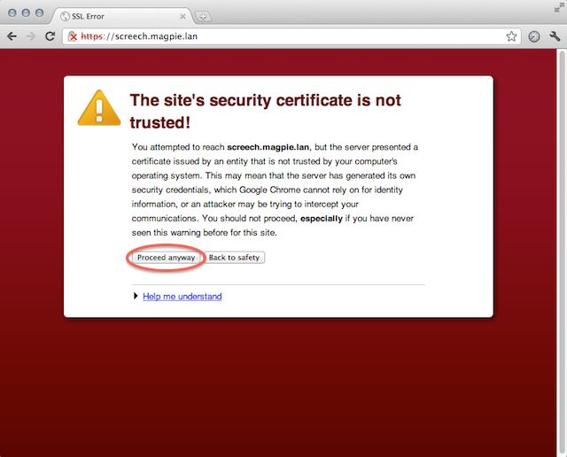 Google Chrome