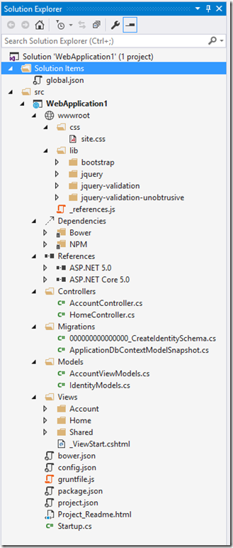 What is wwwroot in asp.net vnext