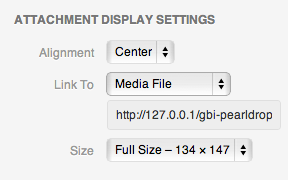 Media Manager Screen
