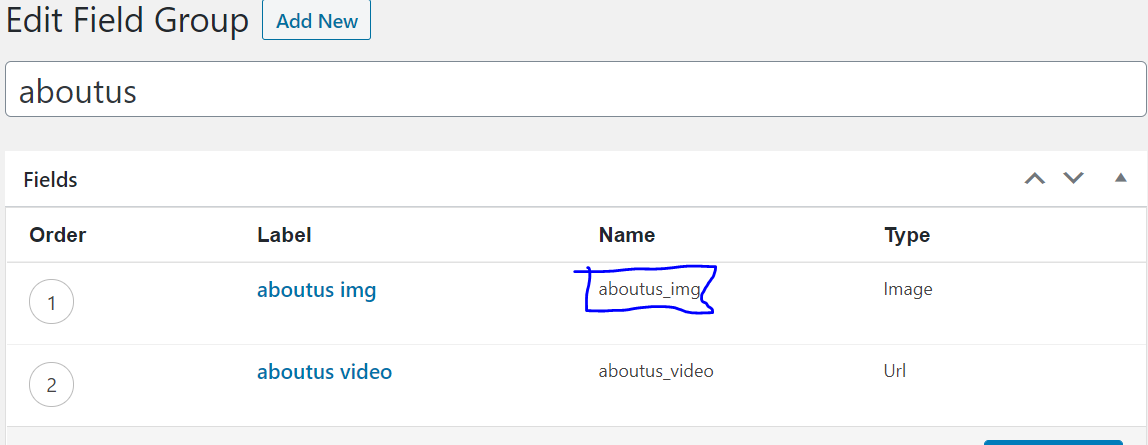 URL through custom field returning null