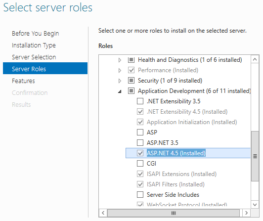 ASP.NET Server Role