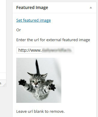 Is it possible set a featured image with external image URL