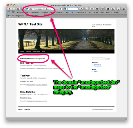 wybqx-1 Multiple Domain Names - One WP Install (non-Multisite) - Default Each Domain name to Category Archive