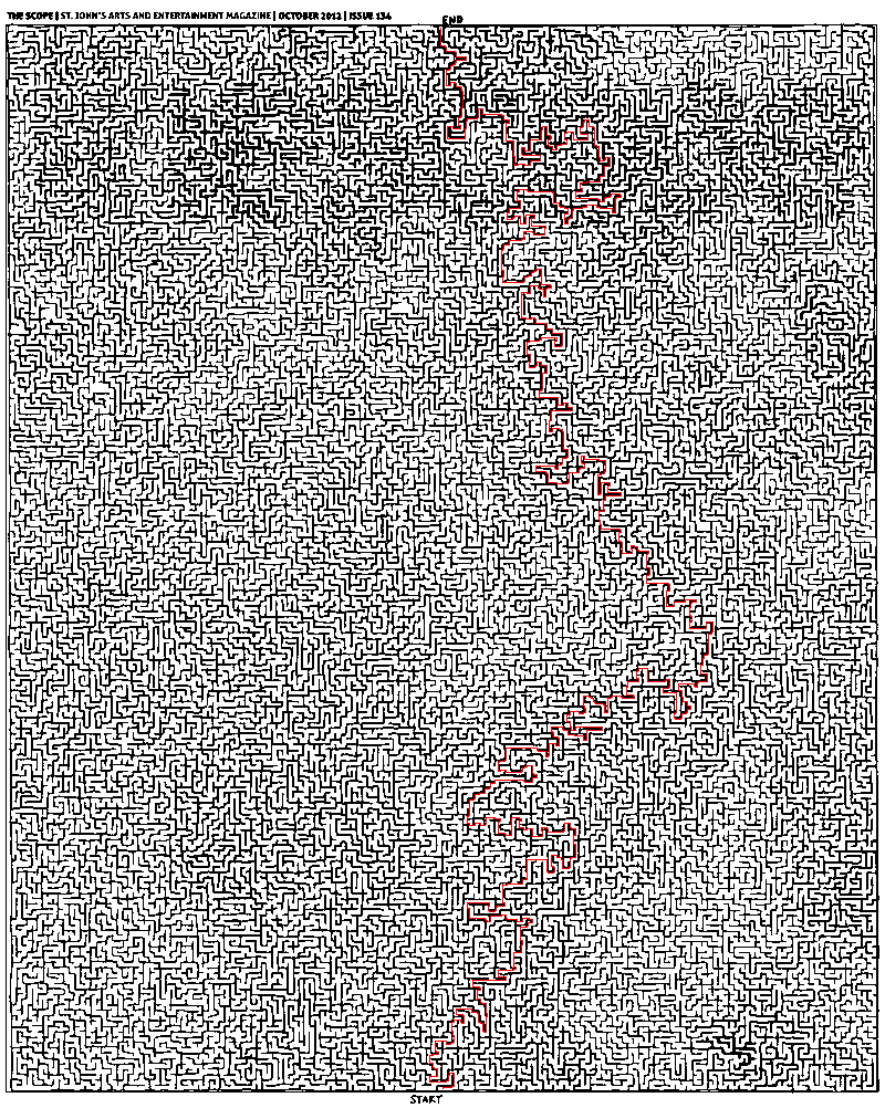 Completed Maze