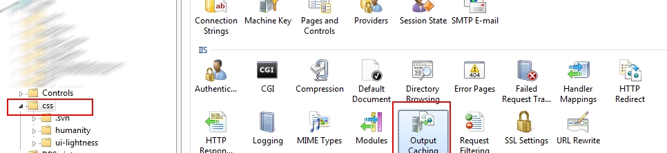 enwk9 Caching specific Javascript and CSS files