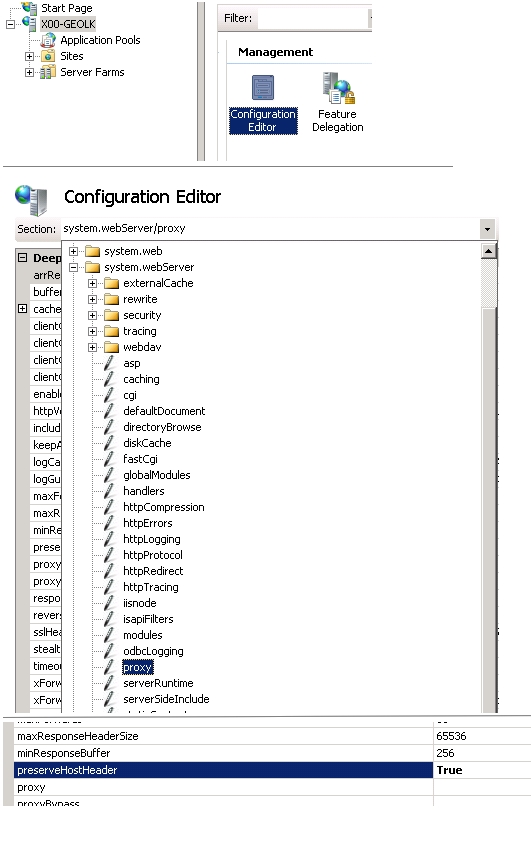 yhons IIS AAR - URL Rewrite for reverse proxy - how to send HTTP_HOST
